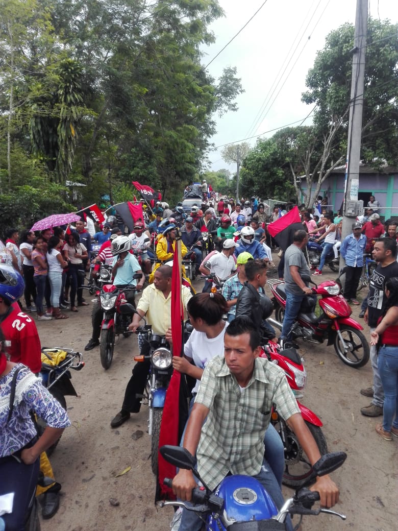 jalapa